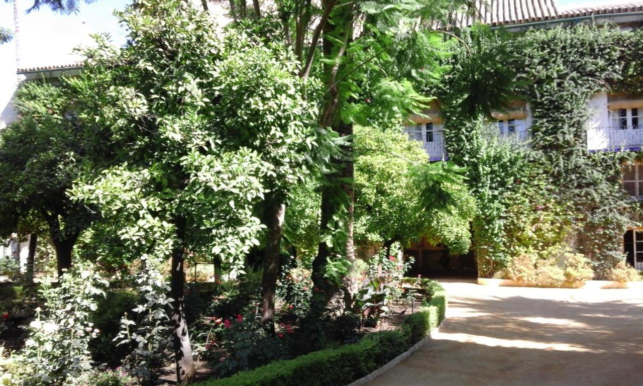 Appartement Hispalis Santa Angela *